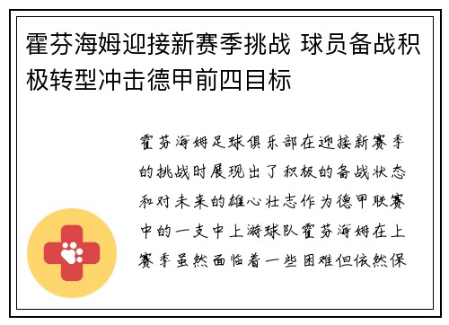 霍芬海姆迎接新赛季挑战 球员备战积极转型冲击德甲前四目标
